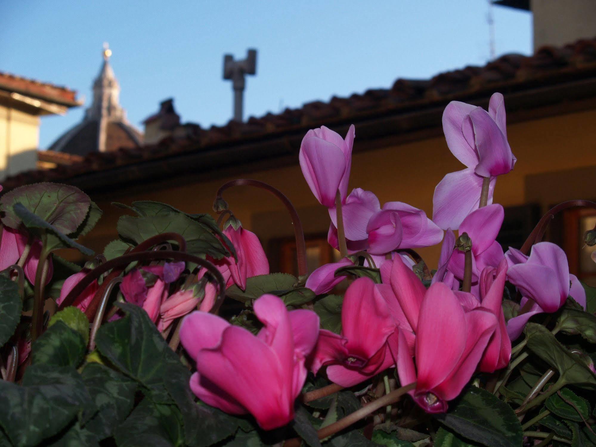 Hotel Botticelli Florence Exterior photo